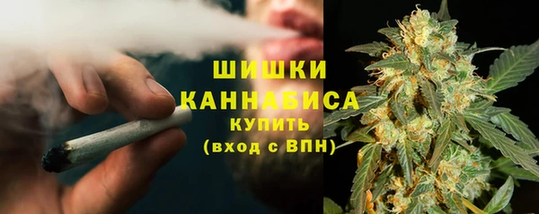 амф Бронницы