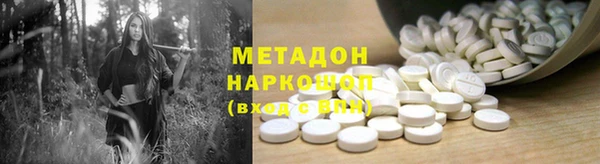 PSILOCYBIN Бородино