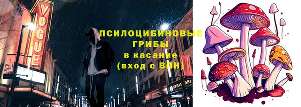 амф Бронницы