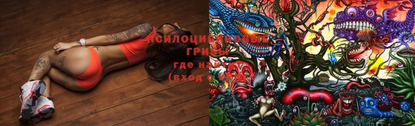 PSILOCYBIN Бородино