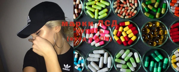 PSILOCYBIN Бородино