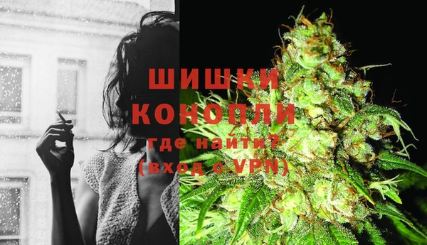 спиды Богородск