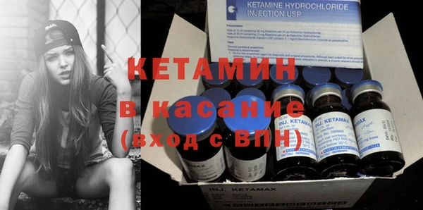 PSILOCYBIN Бородино